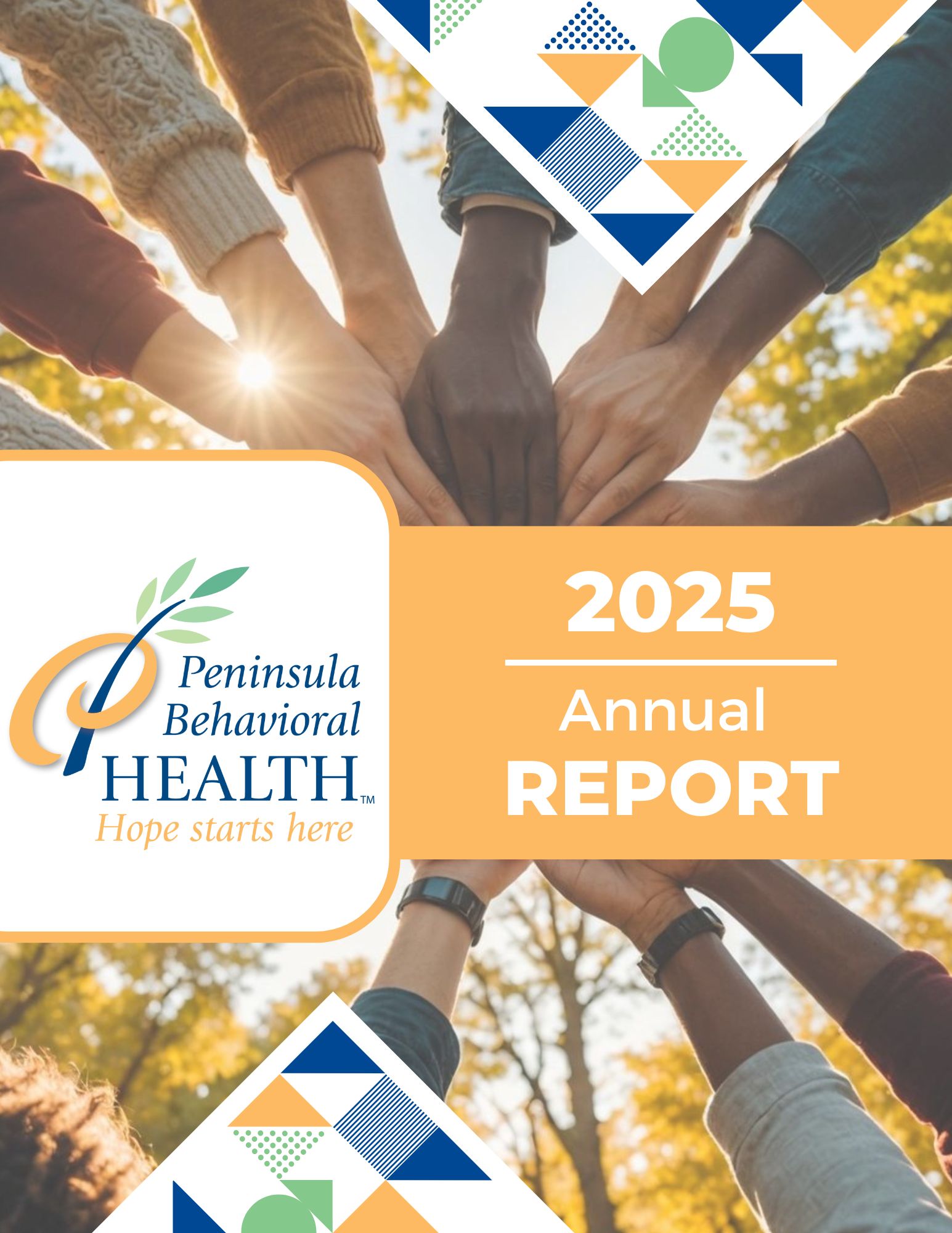 PBH 2025 Annual Report